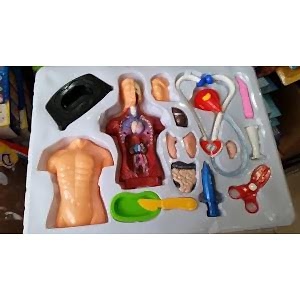16 PARÇA ANATOMİ İNSAN VÜCUDU DOKTOR OYUN SETİ
