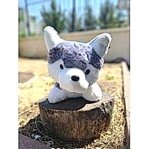 50 Cm Husky Kurt Peluş Oyuncak