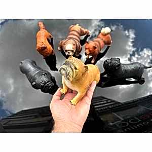 15 Cm Sevimli Köpek Ailesi 6 Parça Oyuncak Hayvan Figür Köpek Seti