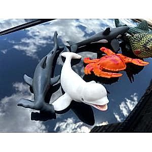 15-30 Cm Arası Banyo Oyuncakları 6 Parça Deniz Hayvanları Seti Yengeç Balon Balığı Yunus